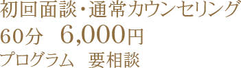 初回面談・通常カウンセリング、1時間あたり6,000円、プログラム　要相談